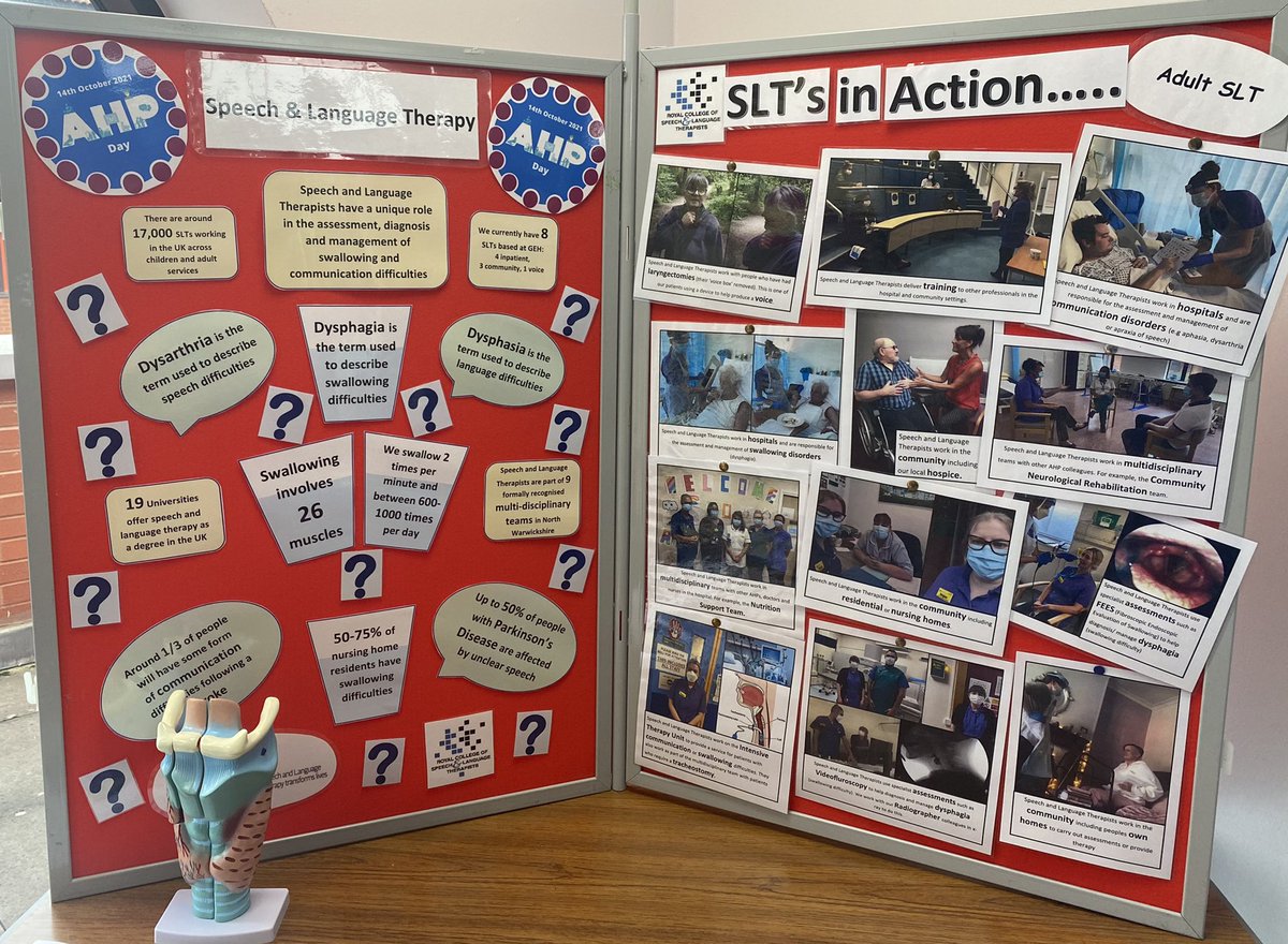 Rebecca Morris tweet media