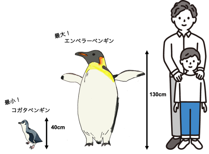 皇帝ペンギンのtwitterイラスト検索結果 皇帝ペンギンのtwitterイラスト検索結果
