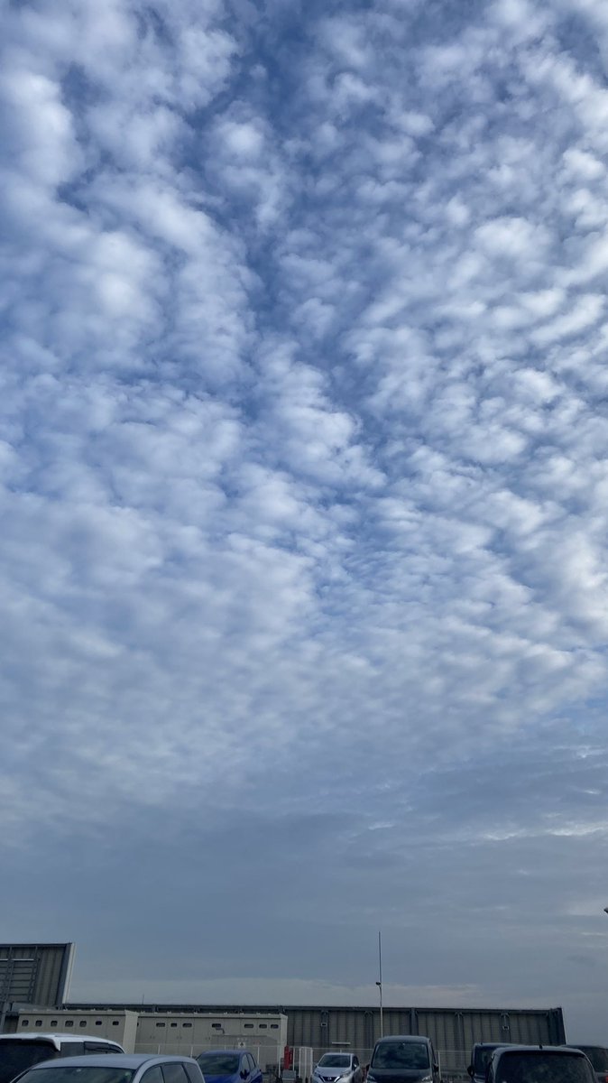 PUPPY__00's tweet photo. 最近のいろんな空𓂅𓂅𓂅 https://t.co/GoF0r5QRMG