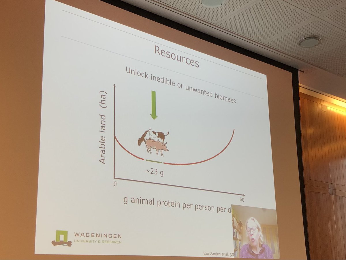 Optimal use of ressources -> optimal amount of animal protein pr day - presentation of Imke de Boer (Wageningen Uni) at the Global Dairy Conference in Copenhagen today