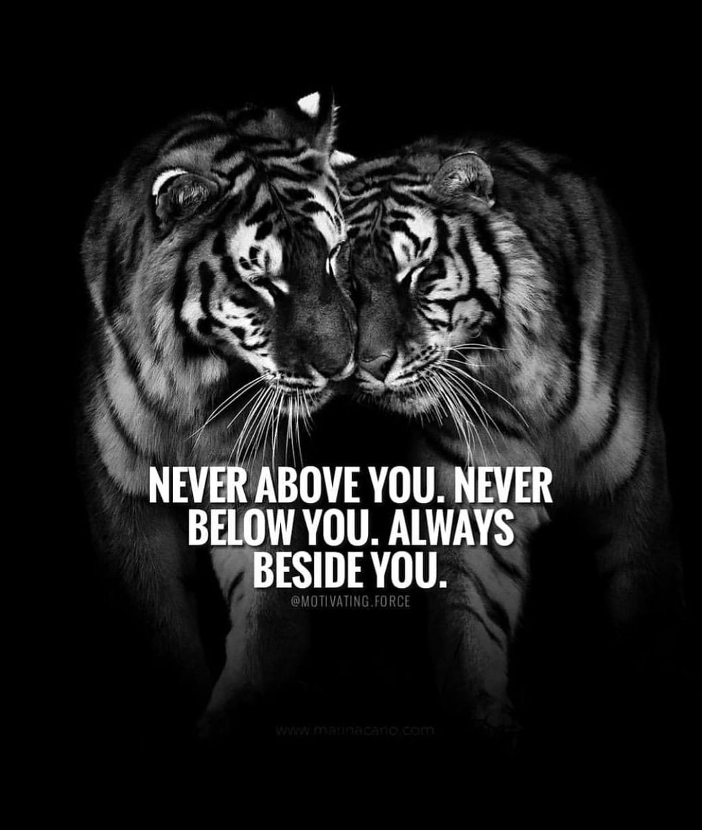 bulls__eye's tweet photo. https://t.co/r7m1DSZvrl