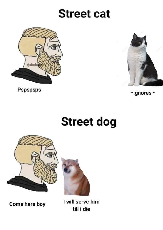 evilsatandoggo's tweet photo. https://t.co/g01GWI6Vrp
