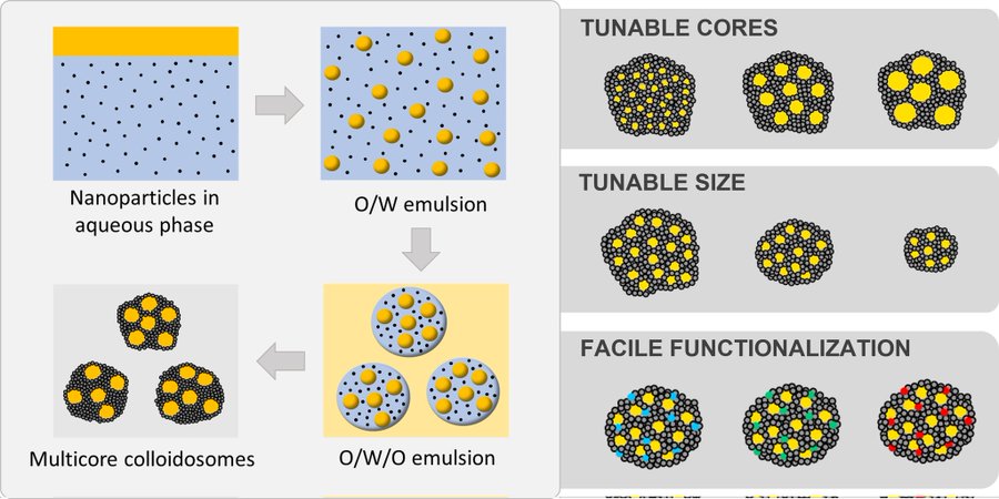 BrossaultDavid's tweet photo. Thrilled to share that my last article on multicore colloidosomes has finally been accepted into ACS Applied Material and Interfaces (@acs_Ami) 🔥. It was a challenging process, which makes it even more delightful. Preprint already available on @ChemRxiv - https://t.co/cmBkju7byx https://t.co/VGHcOC1HQk