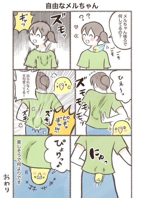 マンガ「自由なメルちゃん」

#セキセイインコ #漫画が読めるハッシュタグ 