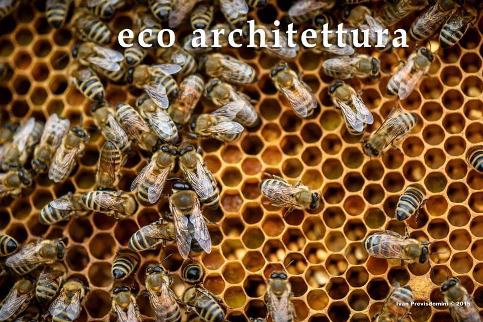 puntoponte's tweet photo. #architetturabiosostenibile https://t.co/ULYav7C0wJ