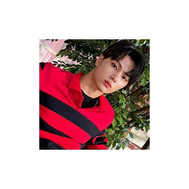 ❤🌿

#JAY #ENHYPEN_JAY