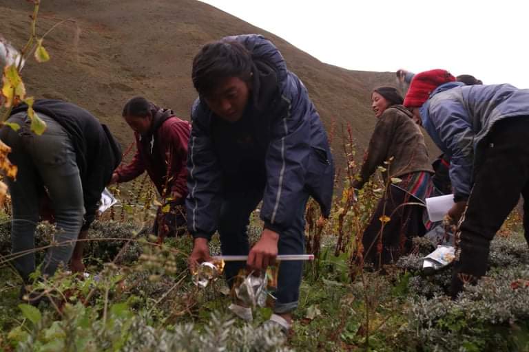 Crystal Mountain(Nepal) eco-club: Through a #littersurvey we found out our area is highly polluted with #plastic! We have: arranged bins at public spaces, raised awareness via several campaigns and #bannedplastic and junk food at school. #theclimateconnection #COP26 @BritishArts