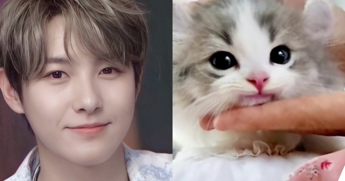 renjun_cat's tweet photo. #RENJUN #런쥔 #仁俊 #ロンジュン #renjun_cat https://t.co/P52l8DRgCU