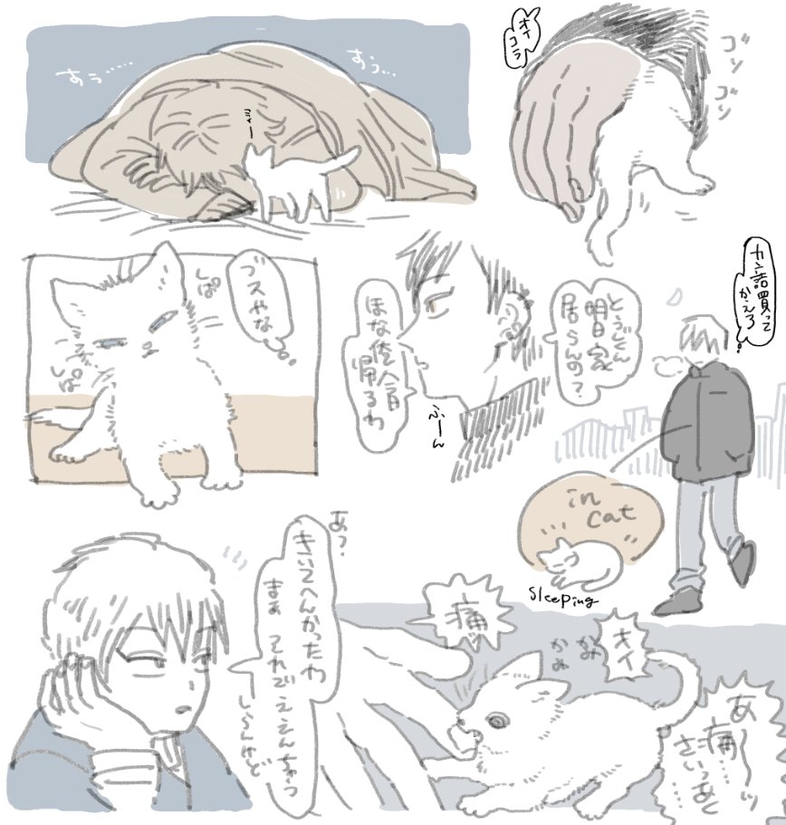 ねことナオヤの幻覚 