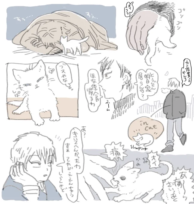 ねことナオヤの幻覚 