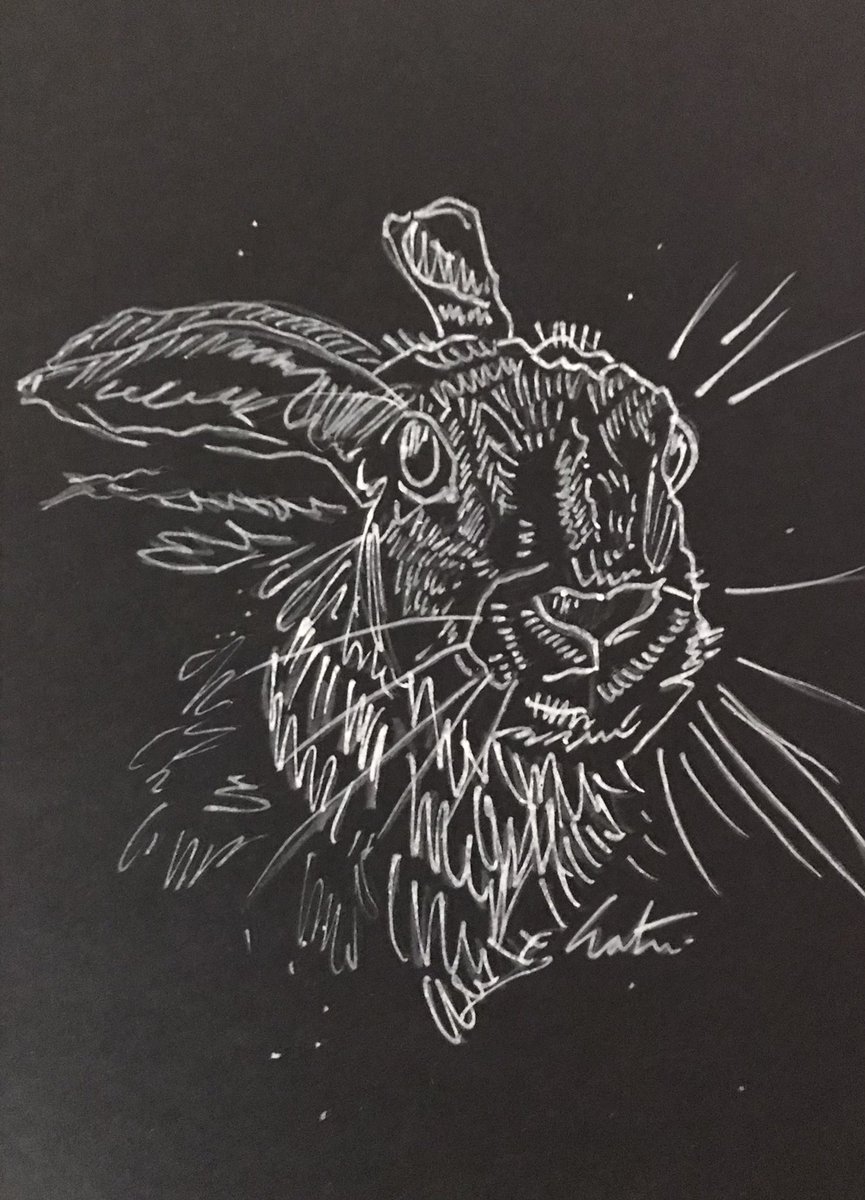 Small Hare sketches, framed £10 each, perfect little pressies 😊