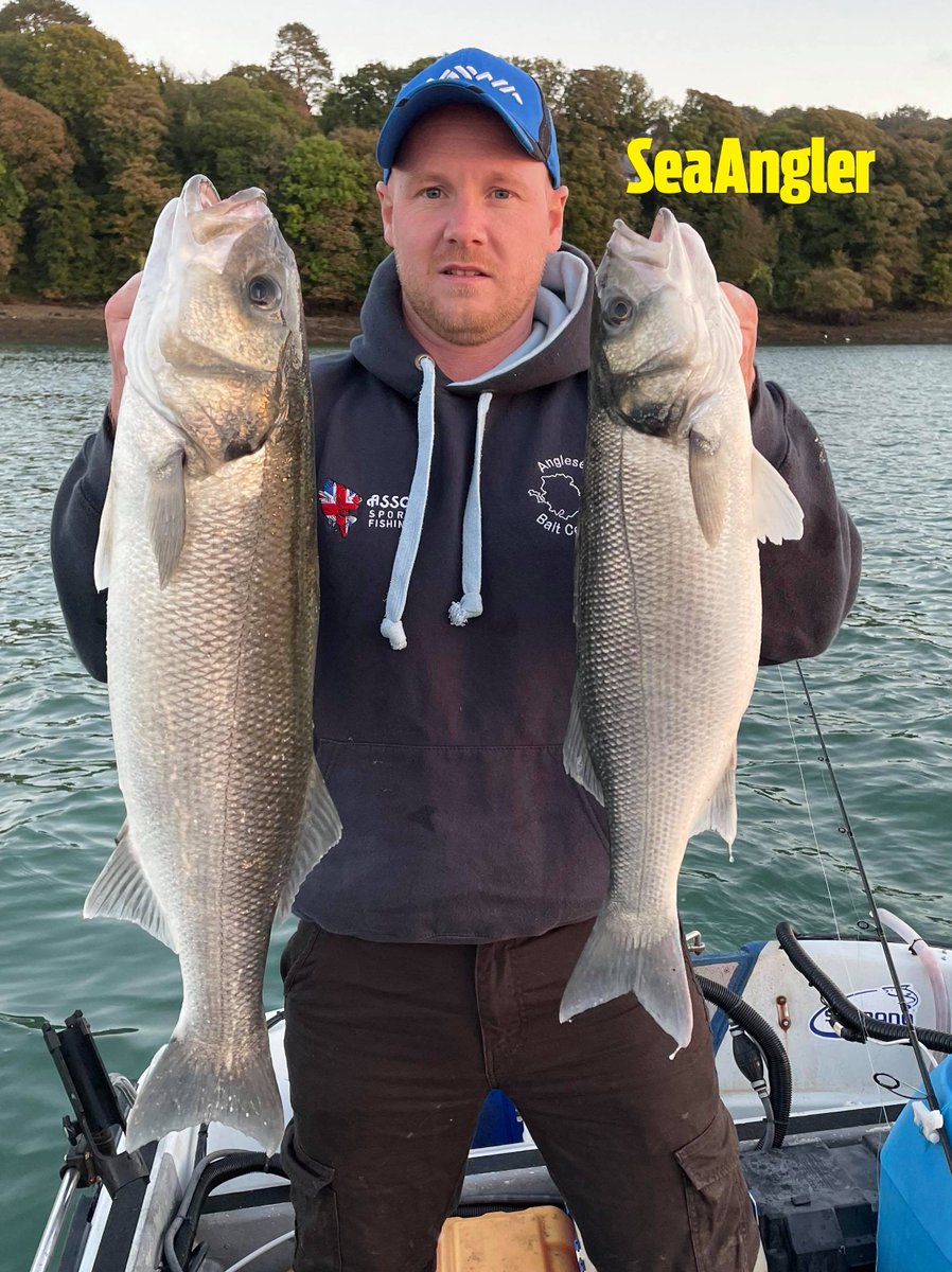 Gav Williams caught these two bass on live baits mounted on size 4/0 Cox &amp; Rawle Specimen Extra hooks while boat fishing in the Menai Strait. The fish were released