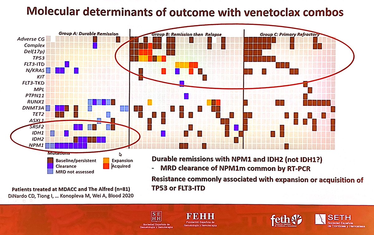 AMartinezRocaMD's tweet photo. Great lecture by Dr. Di Nardo from @MDAndersonNews on non-intensive chemotherapy treatment in #leusm patients.

- IDH2 and NPM1 patients presents with durable remissions with VEN/HMA combination
#hemato2021
@sehh_es https://t.co/bd8CQjAZ12