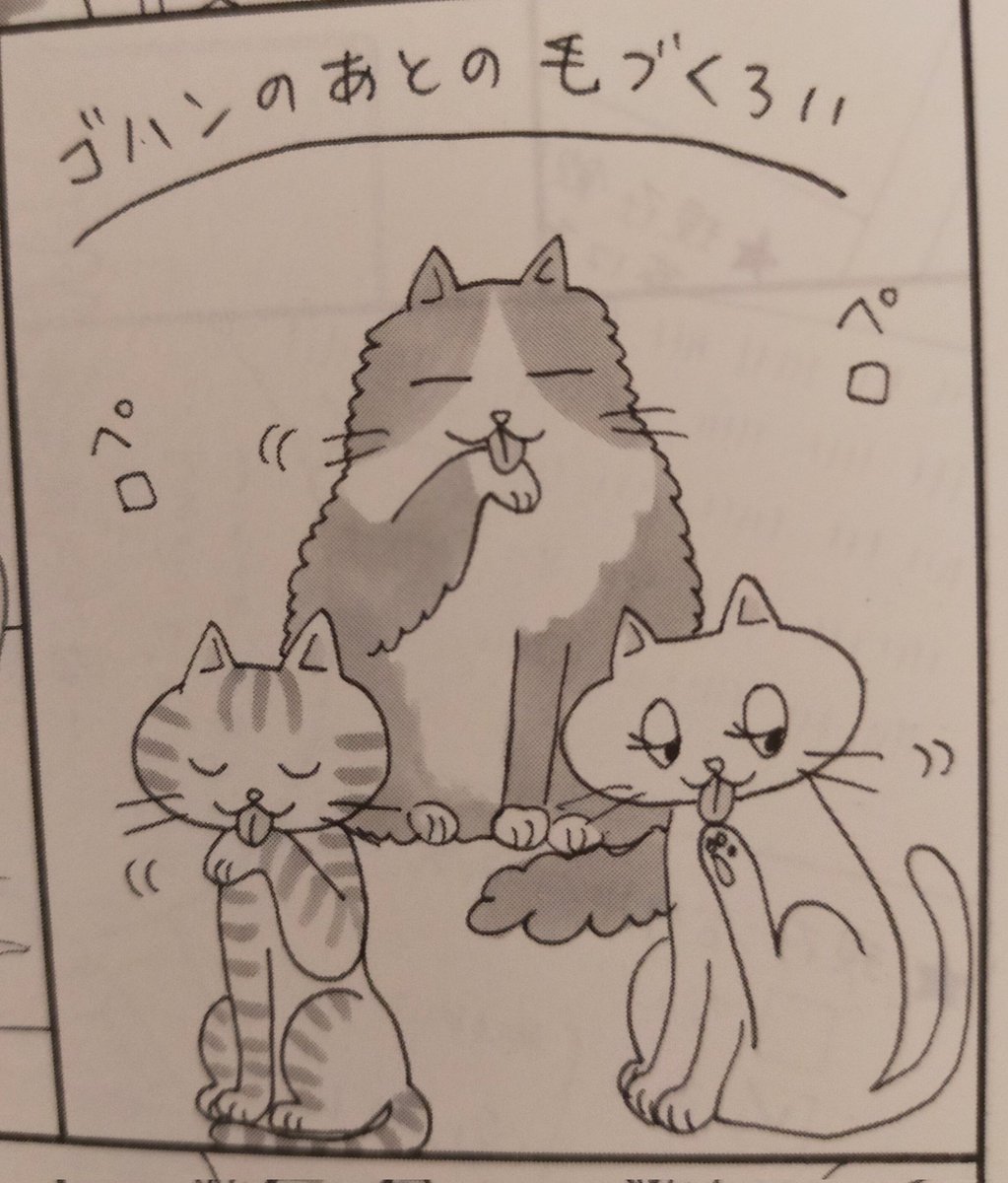 「27歳のニューガン・ダイアリー」を、猫好きの視点で読んでみたら「三大・かわいい猫の仕草」はコレでした!(笑) https://t.co/lvYeKyq4IP 