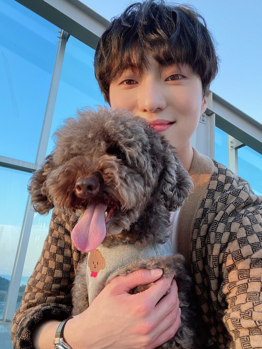 어제 구해줘 숙소는 재밌게 보셨나용🐶