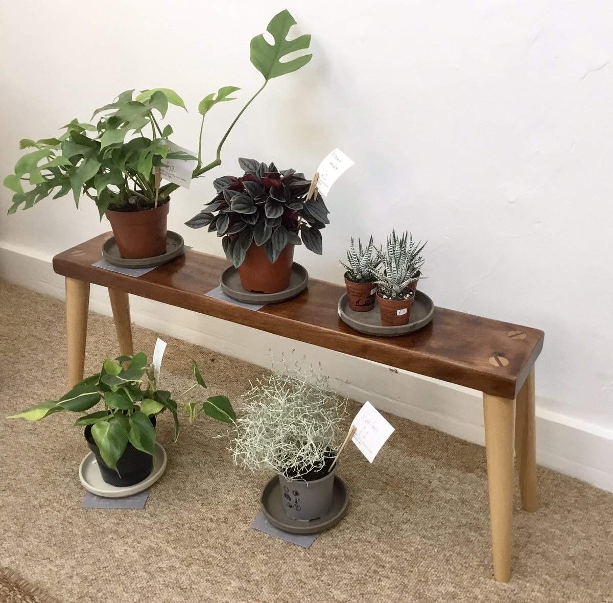 annawoodturner's tweet photo. Amanda and I have finished off our exhibition space with plants from @hugoandgreen.
Come and take your pick at the Shoreham Art Gallery!
I had fun making this house-plant bench from reclaimed Teak and wedged Beech legs.
#houseplantsforsale @shorehamartgallery #plantbench https://t.co/jVQwLuAzaE