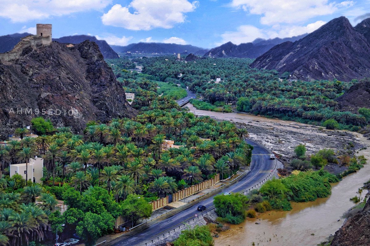 ولاية سمائل 
#شاهين

تصوير أحمد الحضرمي

<a href="/AHM95ED101/">Ahmed Alhadrami</a>