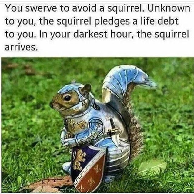 WholesomeMeme's tweet photo. https://t.co/13ySzsfS1T