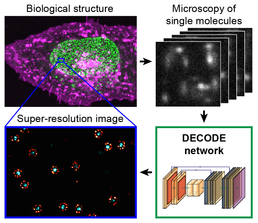 Jonas Ries on Twitter "Positions for postdocs and scientific