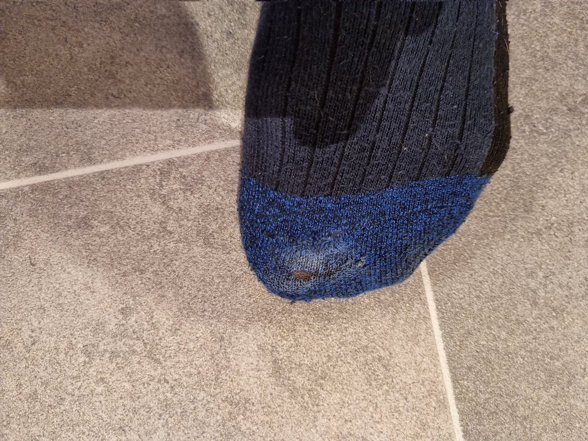 JohnnySockBoy's tweet photo. Todays stinky socks
#sockfetish #sockworship #smellysocks #findom #findomfeet #footfetish #menssocks #cashmaster #workmen #alphamale #tradie #workingmen #cashslave #smellyfeet #mensfeet #footfag #gayfetish #socksniffer #worksocks #usedgear #workgear #JCBsocks #ranksocks #manstink https://t.co/QxRqLCeP0t
