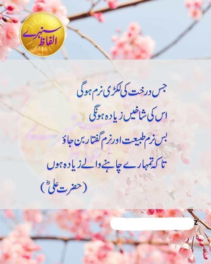 KalimullahQasm4's tweet photo. @TeamMASOfficial https://t.co/ZZxj6f4TZa