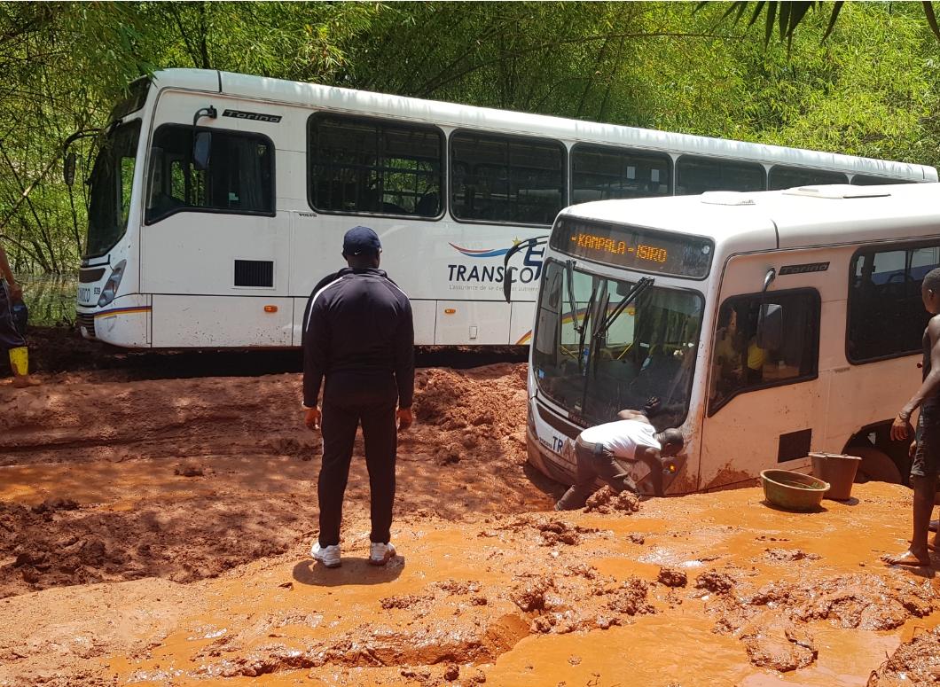 CharlieMingiedi's tweet photo. #RDC_ITURI: Les
#BUS_TRANSCO récemment envoyés à Isiro. 
Vraiment, quelque chose ne va dans la façon de raisonner des dirigeants congolais. 
Comment peut-on sacrifier des bus pimpants neufs dans un coin où les routes n’existent plus ? https://t.co/HDuCbVG4Oj
