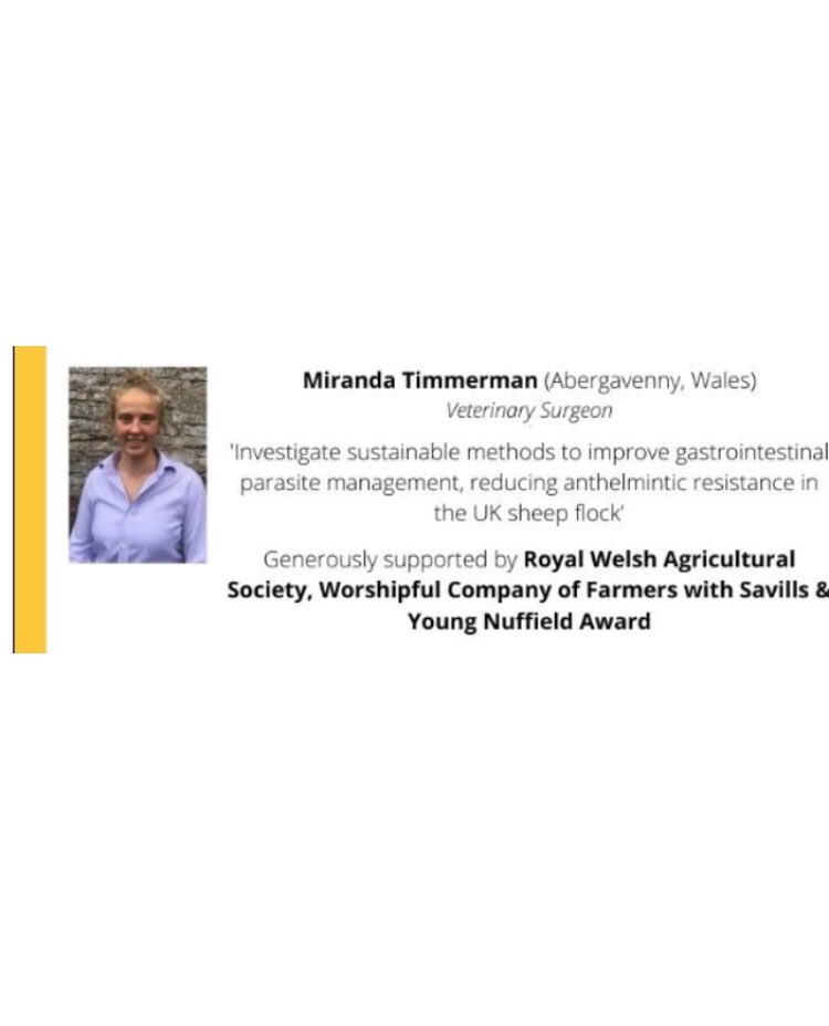 Miranda Timmerman tweet media