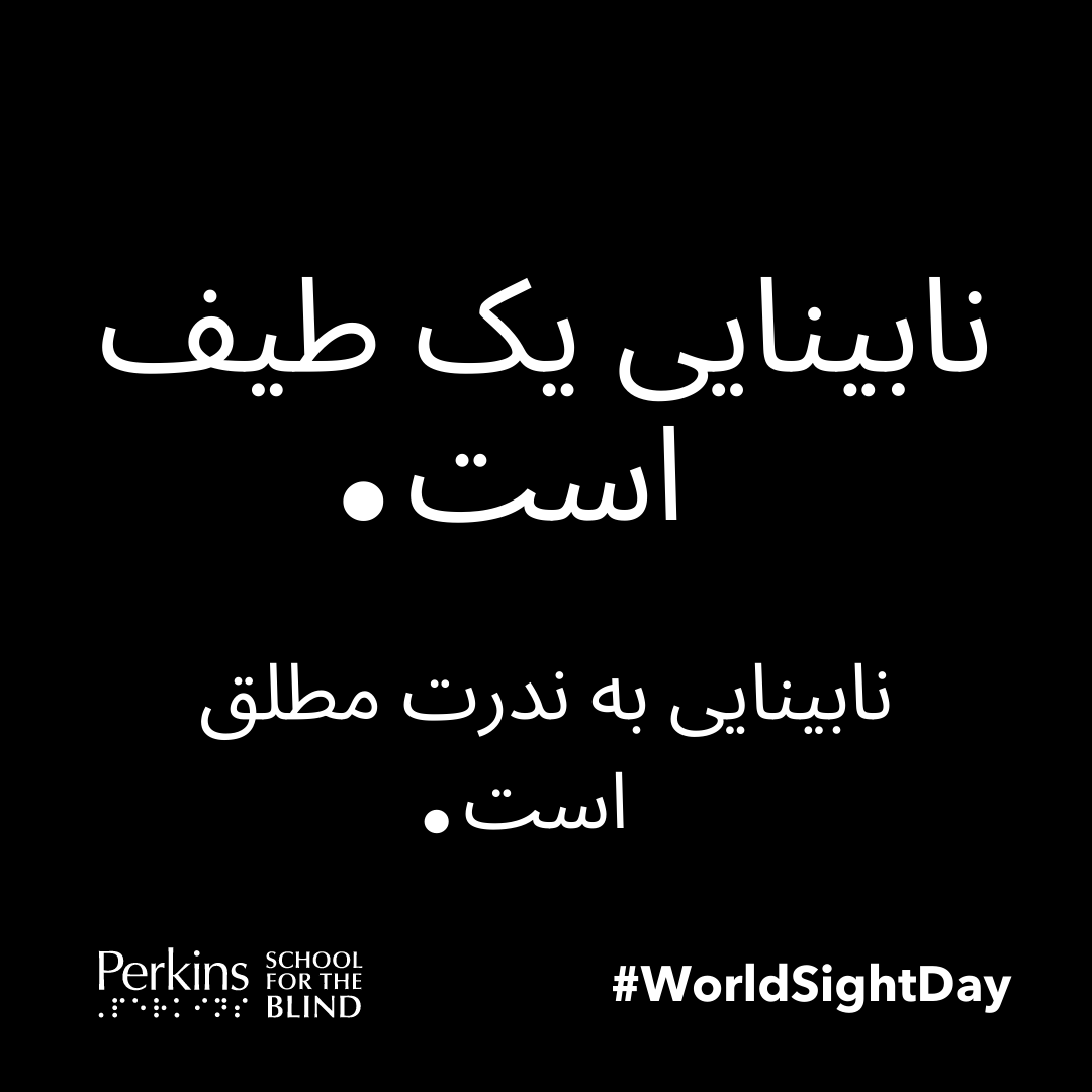PerkinsVision's tweet photo. #WorldSightDay is the perfect day to recognize blindness is a spectrum. It's rarely absolute &amp; no two people see the same. Blindness isn't even always about the eyes! #CVI is all about the brain! Now let's change the way the world sees us. #LoveYourEyes https://t.co/SpCzSGdxyA https://t.co/zhFdBtwAC9