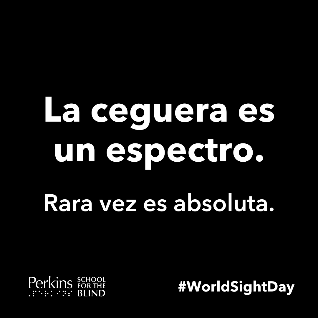 PerkinsVision's tweet photo. #WorldSightDay is the perfect day to recognize blindness is a spectrum. It's rarely absolute &amp; no two people see the same. Blindness isn't even always about the eyes! #CVI is all about the brain! Now let's change the way the world sees us. #LoveYourEyes https://t.co/SpCzSGdxyA https://t.co/zhFdBtwAC9