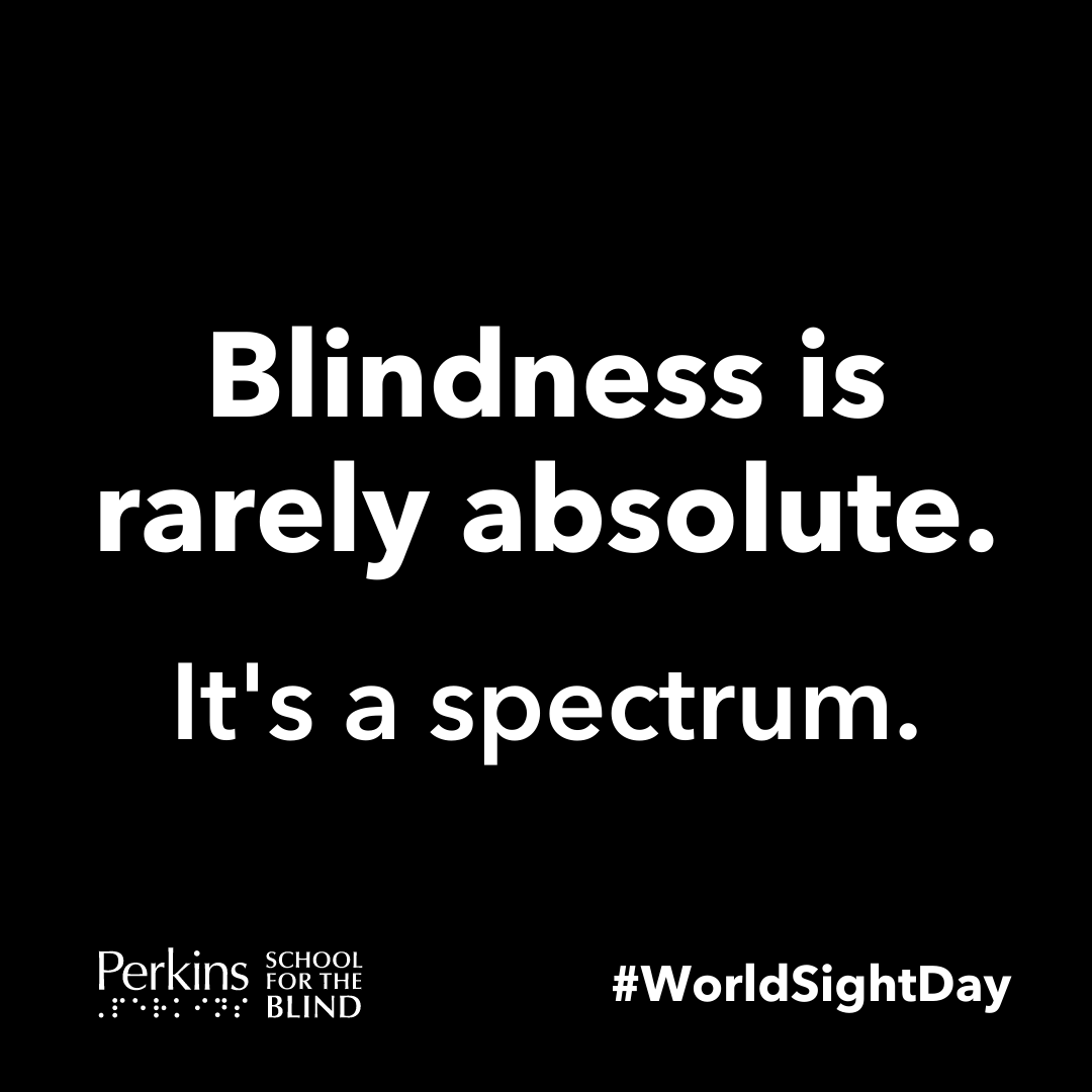 PerkinsVision's tweet photo. #WorldSightDay is the perfect day to recognize blindness is a spectrum. It's rarely absolute &amp; no two people see the same. Blindness isn't even always about the eyes! #CVI is all about the brain! Now let's change the way the world sees us. #LoveYourEyes https://t.co/SpCzSGdxyA https://t.co/zhFdBtwAC9