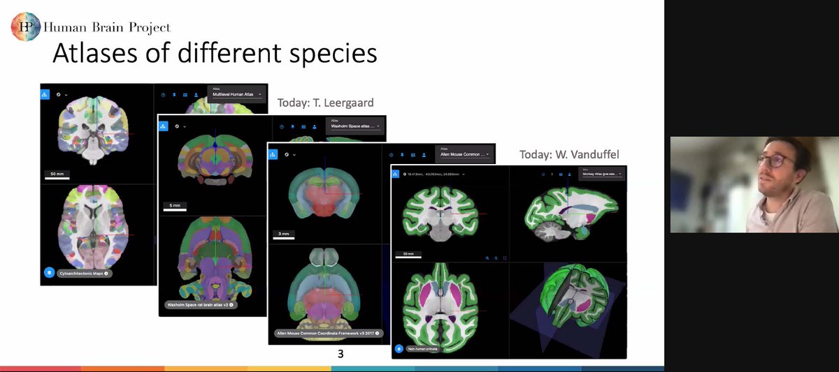 Human Brain Project tweet media