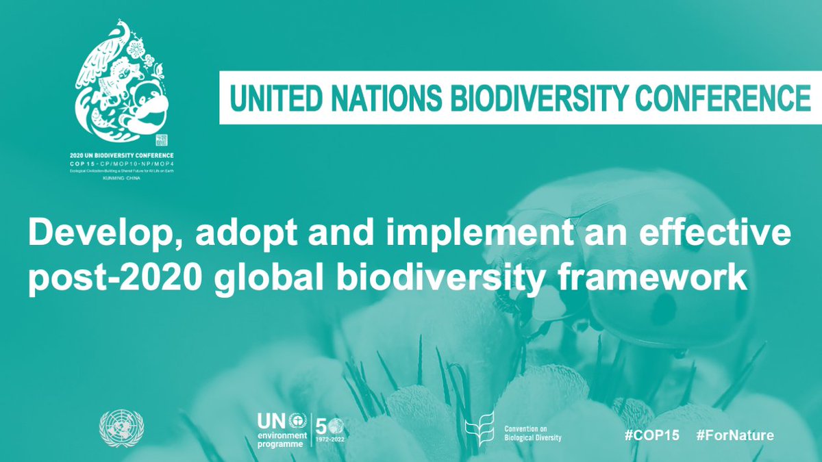 Post-2020 Biodiversity Framework . EU Support tweet media