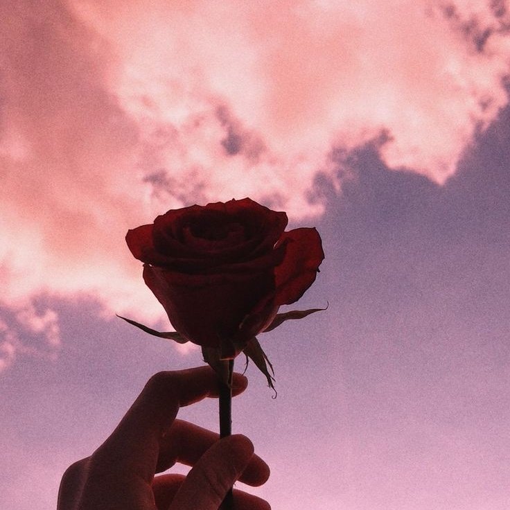 deethedoo's tweet photo. so it's 14 october, and i wrote this #BeyondEvil short (2.5k-ish?) piece because i want: 
🌹 dongsik and yuyeon to meet again, after all it's over
🌹 domestic joowon + daughter
🌹 only soft and happiness for the lee siblings and lee-han household
https://t.co/8EtJkVvPJm https://t.co/gcyFJTyUmL