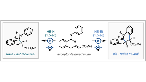 angew_chem's tweet photo. Switchable, Reagent-Controlled Diastereodivergent Photocatalytic Carbocyclisation of Imine-Derived alpha-Amino Radicals (Dixon) @JamieLeitch165 @dixon_group @oxfordchemistry @KenYamazaki5 @andrewmaitland0 @TrevorAHamlin https://t.co/s0gu3ejTsg https://t.co/xpwtbysH6Y