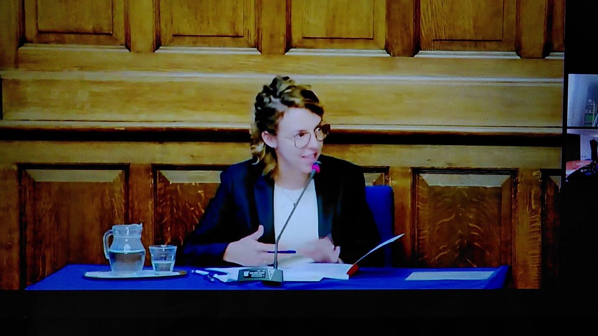 Marije Michel @MarijeMichel@akademienl.social tweet media