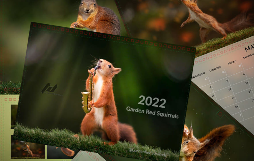 terrydonnelly01's tweet photo. Our 2022 Red Squirrel calendar available to order at https://t.co/D81ck1g0f3 Proceeds go to help keep our
@GardenReds in good fettle and we will make a donation from total sales to @Lancswildlife #redsquirrel #thelastred #conservation #wildlife https://t.co/RvmJlDRp4H