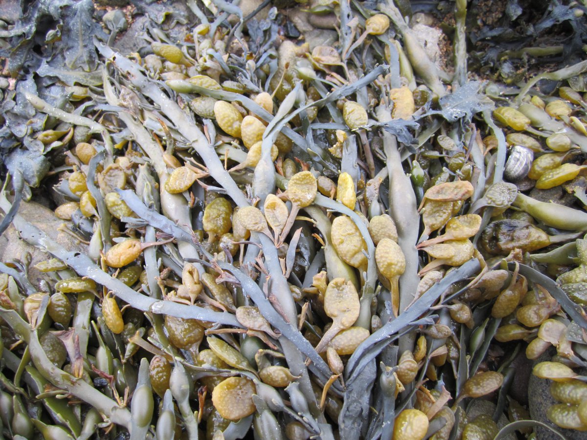 Sara Marsham 💙 tweet media