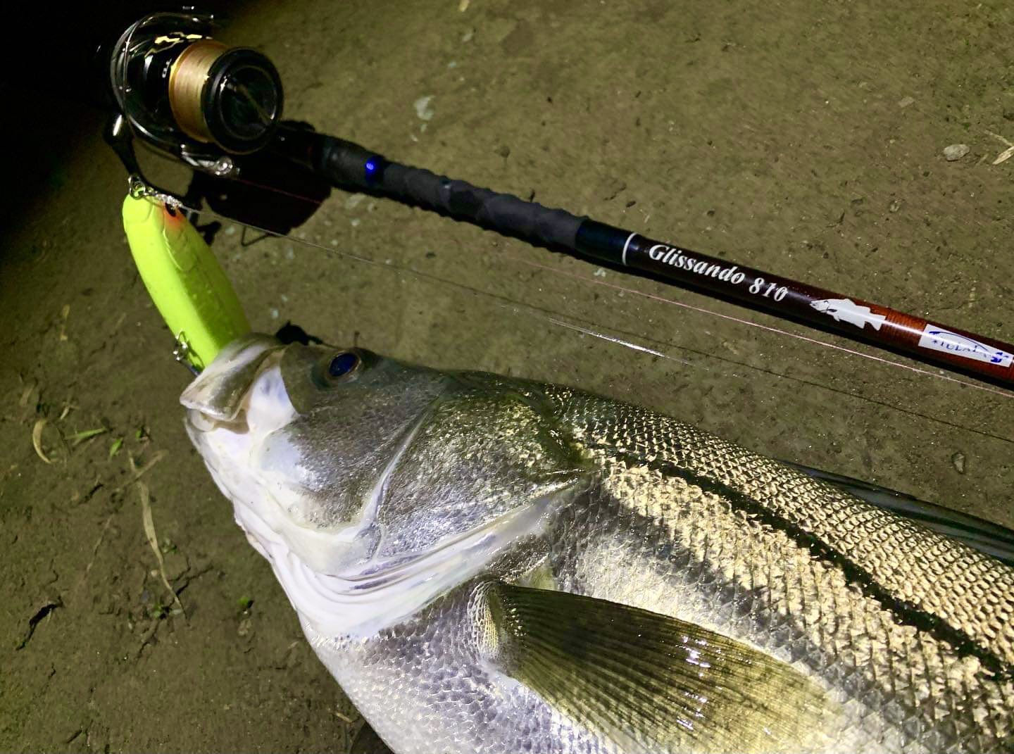 グリッサンド810 24年モデルツララ　リッジライン　tulala グリッサンド810 24年モデルツララリッジラインtulala