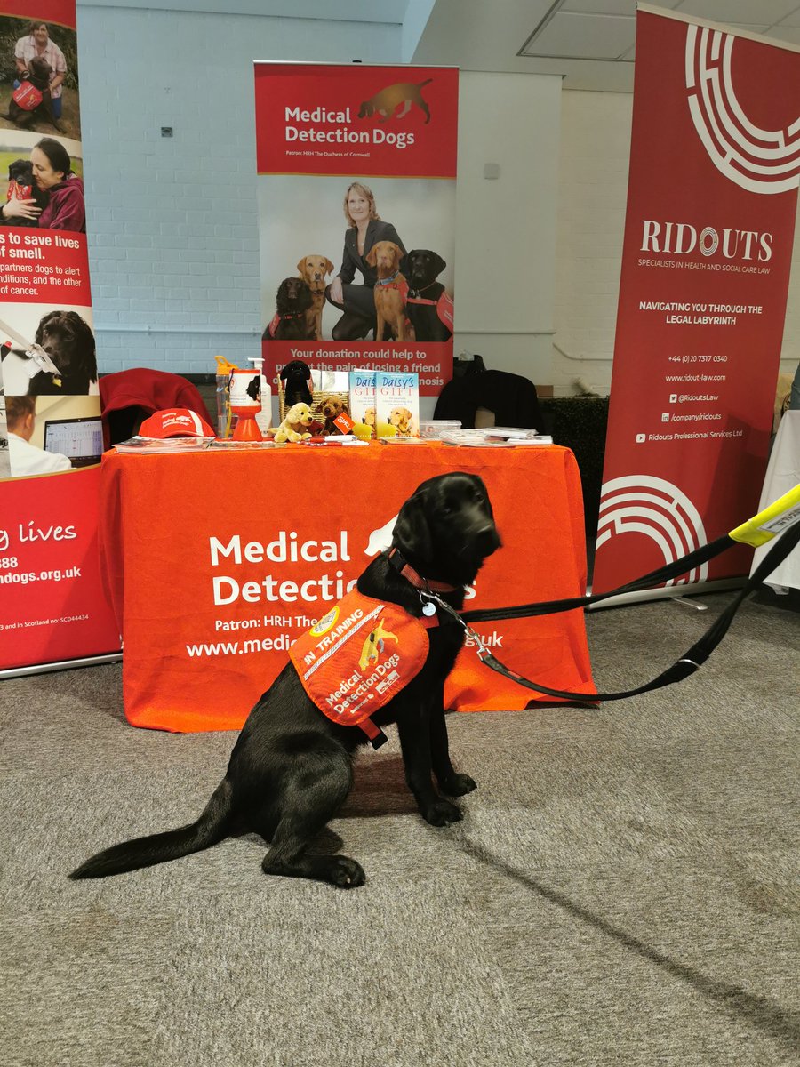 Wonderful to have the #MedicalDetectionDogs at the #2021 #SuffolkCareConference at #WhersteadPark