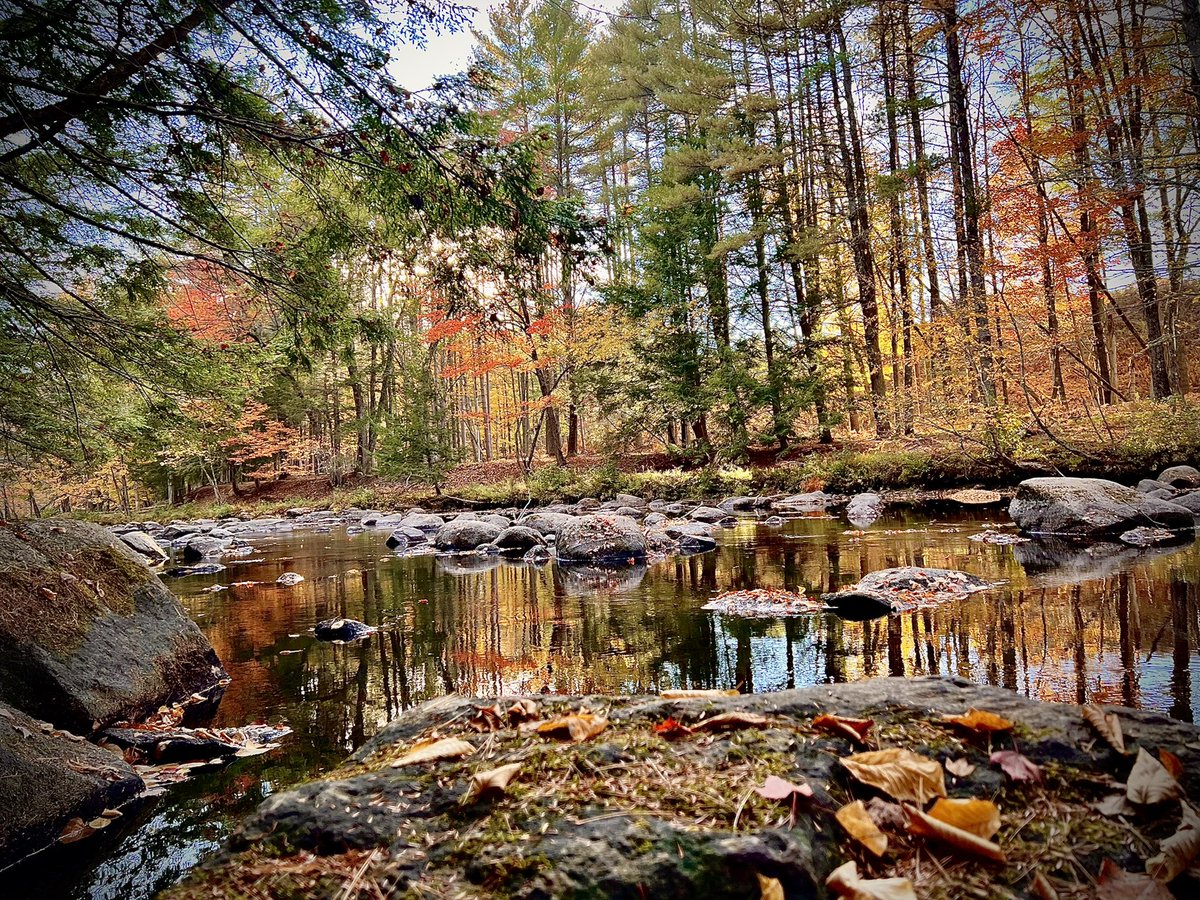 Beautiful morning chasing salmon on the Crooked River in Maine. The river closes for the season this Friday 10/15. Have to plan one more trip before it ends! #maineflyfishing #crookedriver #flyfishmaine