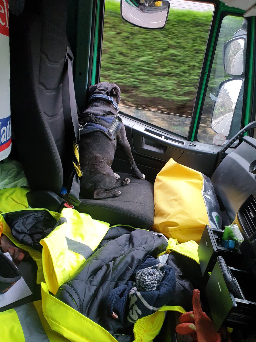 oslrespect's tweet photo. Had to take the dog to work seems happy enough #driversmate https://t.co/g6R1W7MRof