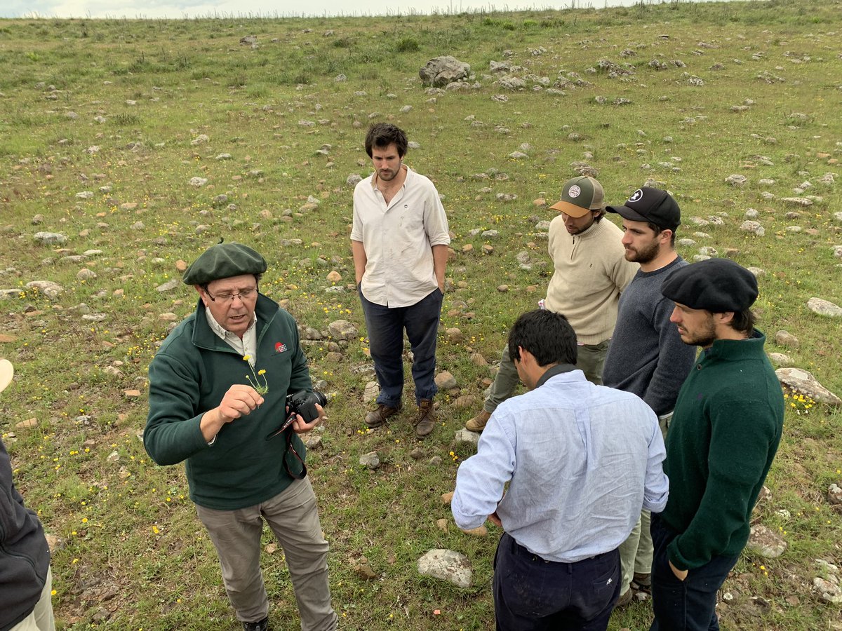 Pampa Oriental tweet media