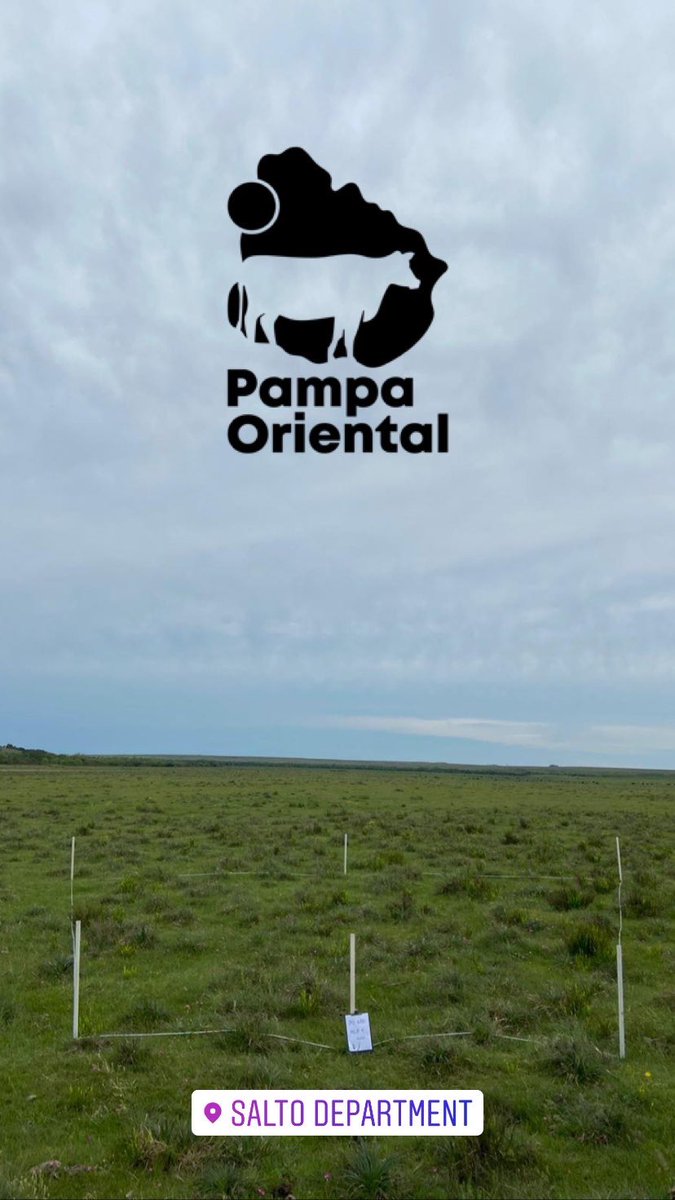 Pampa Oriental tweet media