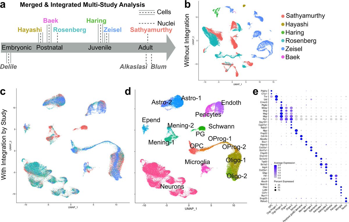 Nature Communications (@naturecomms) on Twitter photo @ArielJLevine <a href="/SKochLab/">Stephanie Koch</a> @Kaya_Jane <a href="/MorAlkaslasi/">Mor Alkaslasi</a> <a href="/ClaireLePichon/">Claire Le Pichon</a> generate a harmonized cell atlas of the mouse post-natal spinal cord based on single-cell transcriptomic data & developed an open-source cell type classifier, SeqSeek.
nature.com/articles/s4146… @ArielJLevine <a href="/SKochLab/">Stephanie Koch</a> @Kaya_Jane <a href="/MorAlkaslasi/">Mor Alkaslasi</a> <a href="/ClaireLePichon/">Claire Le Pichon</a> generate a harmonized cell atlas of the mouse post-natal spinal cord based on single-cell transcriptomic data & developed an open-source cell type classifier, SeqSeek.
nature.com/articles/s4146…