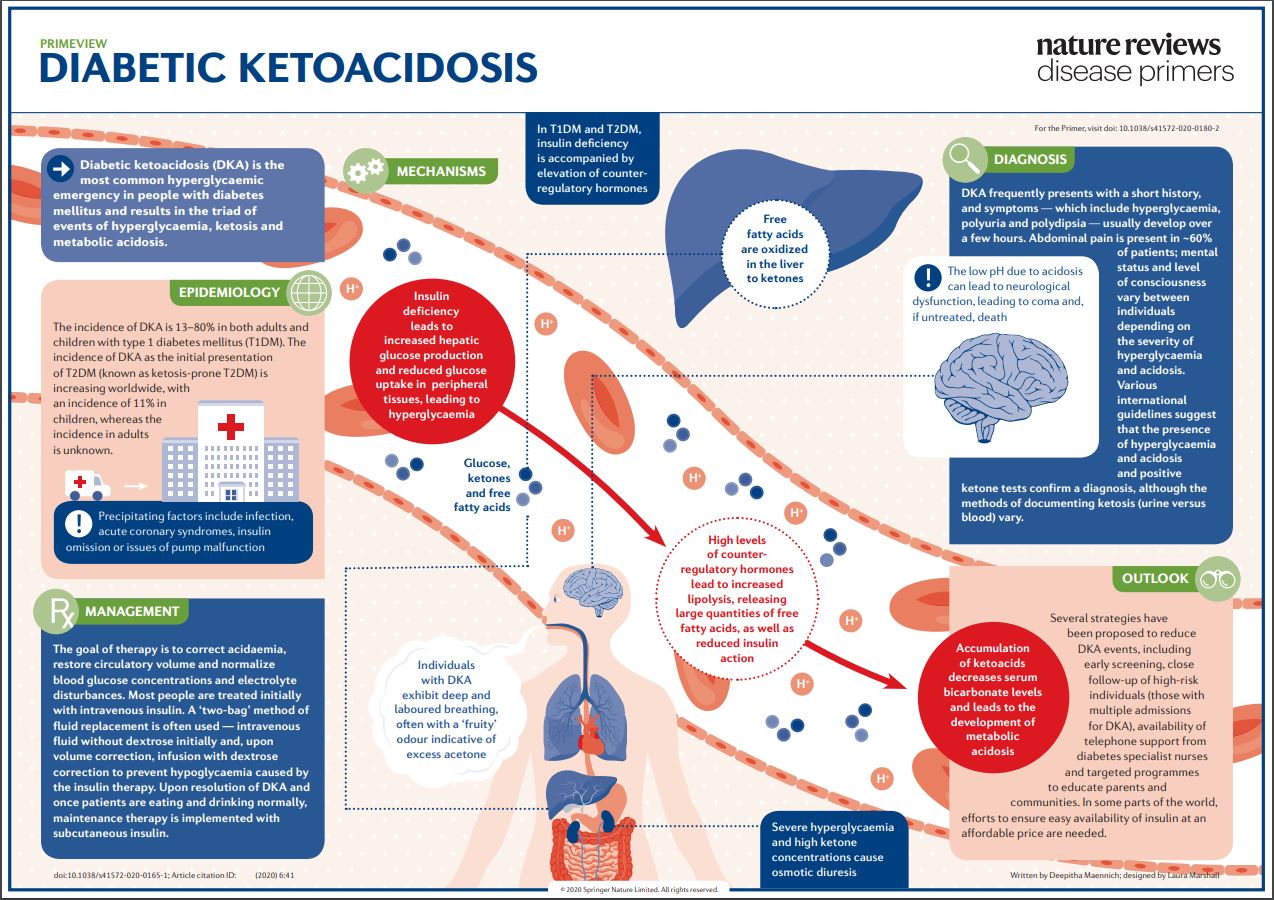 Cetoacidosis diabetica y cetosis