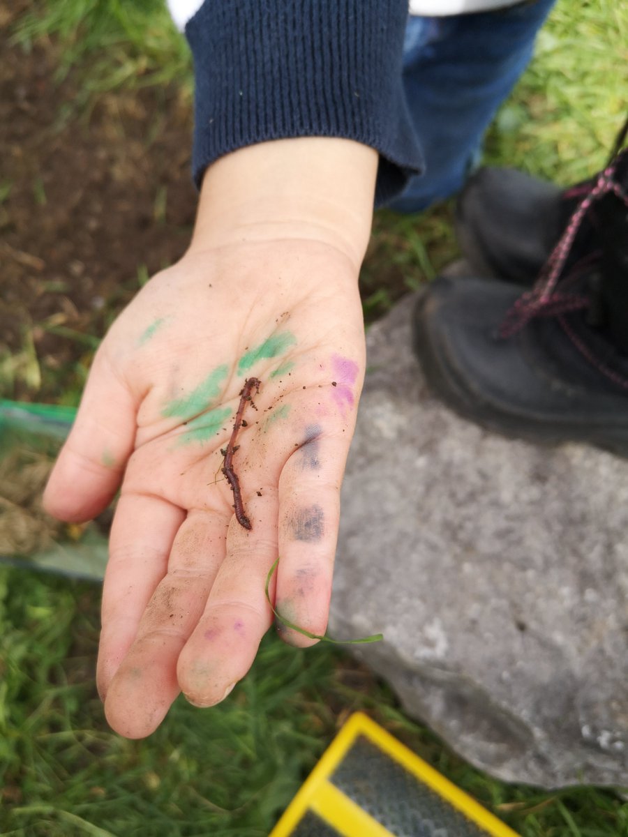 What will we find under a rock? <a href="/LordStrath_LDSB/">Lord Strathcona PS</a> <a href="/raven_LDSB/">Ms. Raven's Class</a>