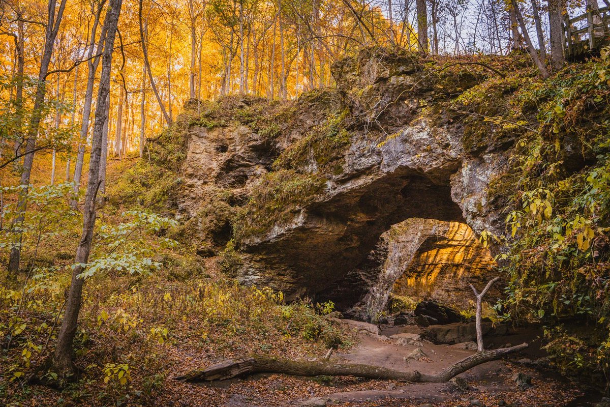 Travel_Iowa's tweet photo. Maquoketa Caves 😍 #FallInIowa

📸: Otto Solberg https://t.co/8TU4gOp9B0
