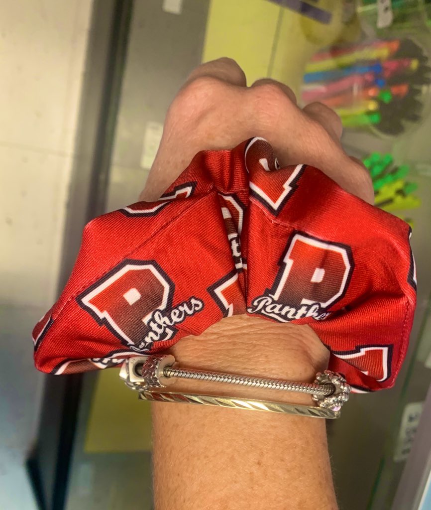 PRPCampusStore's tweet photo. new scrunchies available now in the panther pit ! 
come get yours now for $5.50 , we will be open all 3 lunches ! #goridge https://t.co/mQ8B9GDabx