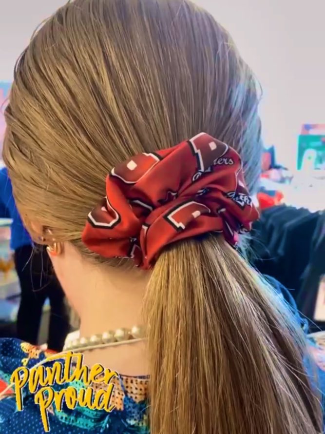 PRPCampusStore's tweet photo. new scrunchies available now in the panther pit ! 
come get yours now for $5.50 , we will be open all 3 lunches ! #goridge https://t.co/mQ8B9GDabx