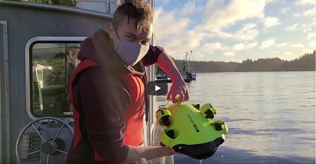 BamfieldMSC's tweet image. This fall, join our highly popular #BMSCLive team for virtual field trips and labs!
Our scheduled #BMSCLive events are available to K-12 Canadian students throughout November at a discounted rate.

See our website for details:
bit.ly/3p1D2M5